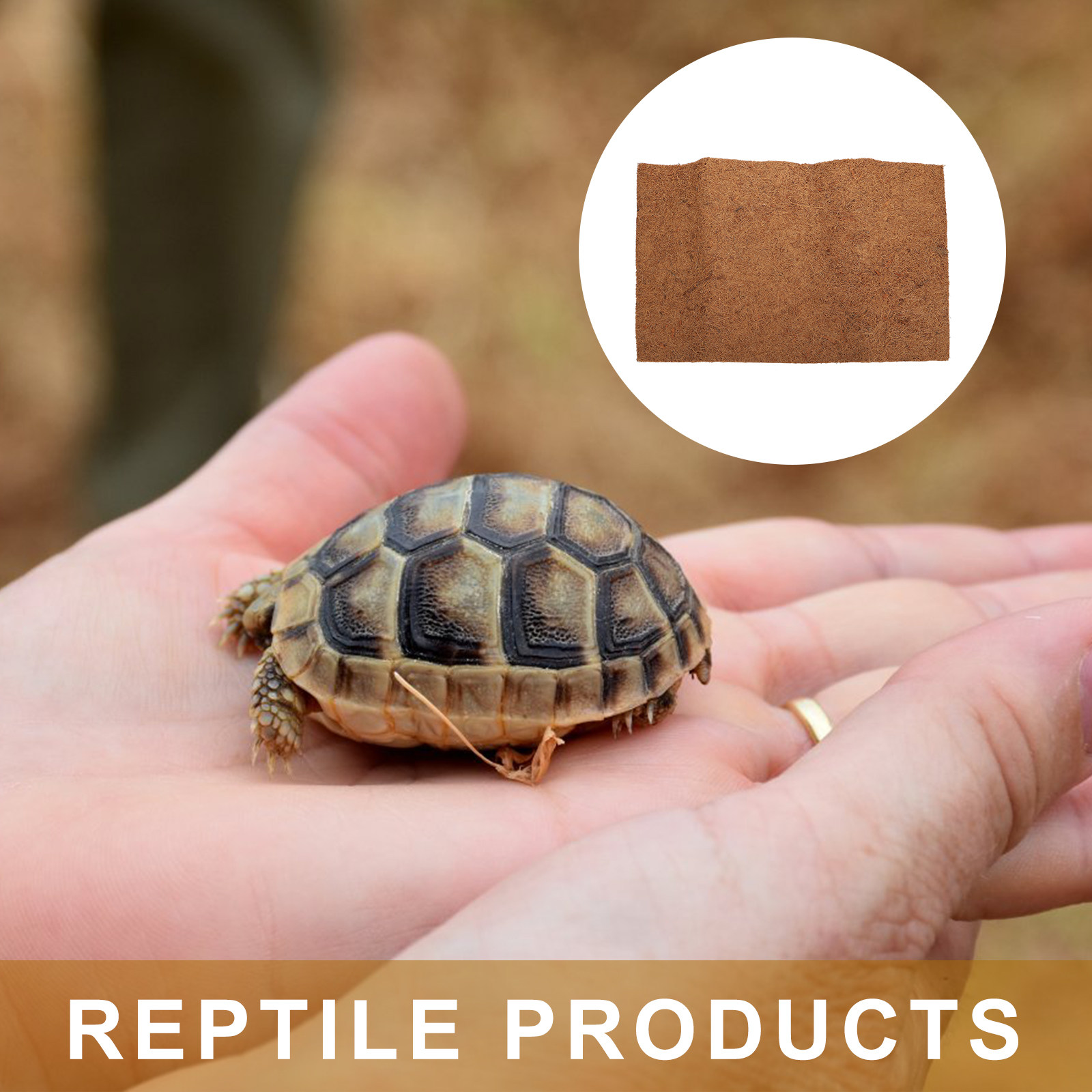 Natürliche Kokosfaser-Reptilie – Substrate Coconut Fiber Bewertung und Preis
